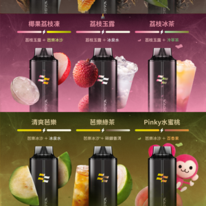 新品上市💖 WAGOO &KIS5 哇酷拋棄式6500口 可充電🔋電子煙 磁吸組合 雙口味自由混搭【滿十送一】