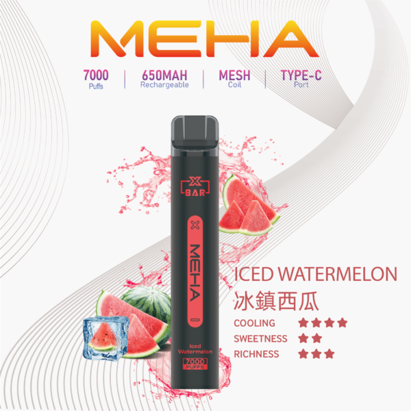 新品🔥MEHA魅嗨拋棄式7000口【XBAR小黑條】可充電🔋